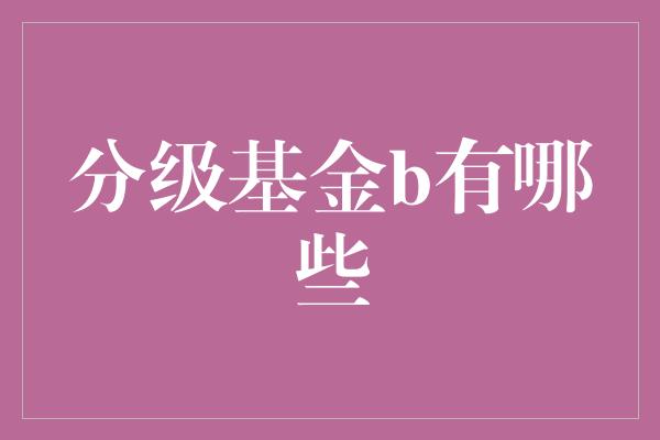 分级基金b有哪些