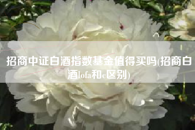 基金a类和c类lof的区别_lof基金a类和c类区分_基金的a类