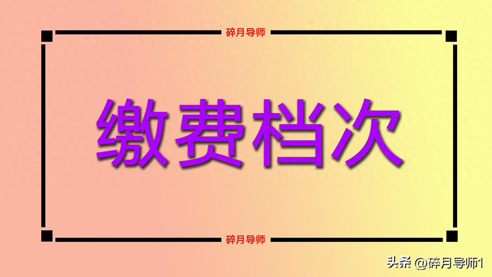 2024 年甘肃和宁夏养老金计算：缴费档次均为 60%，两地养老金待遇及差额解析插图