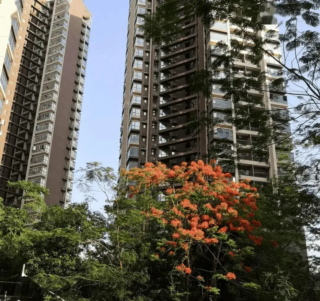 房地产市场变化，手握多套房的家庭面临的麻烦与挑战插图7