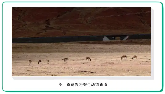 意见推动交通绿色转型，航空业降碳减排成重点插图