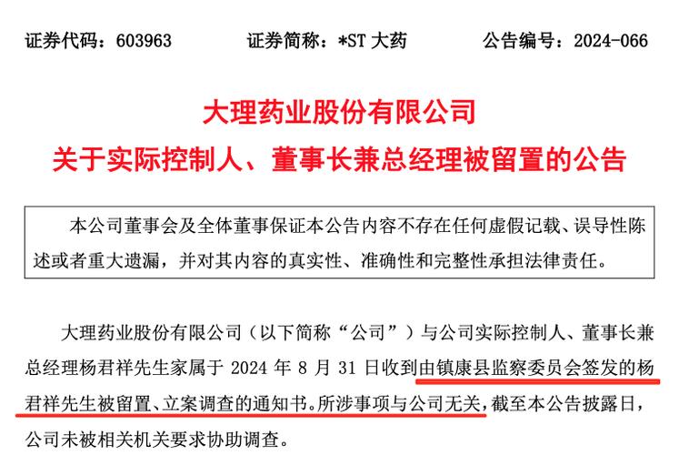 A股市场监管力度持续加码，年内47家上市公司51名董监高被留置插图1