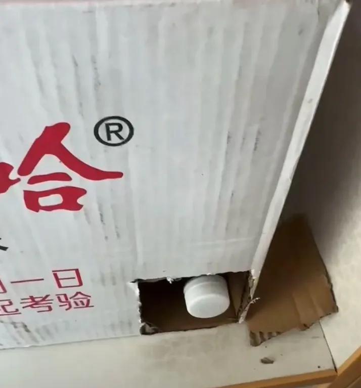 懒人妙招大揭秘：创意居家技巧与搞笑实用方法分享插图3