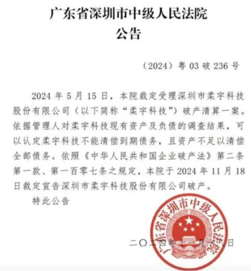 柔宇科技深圳龙岗12套不动产及设备资产流拍，12.3亿元起拍无人问津插图6
