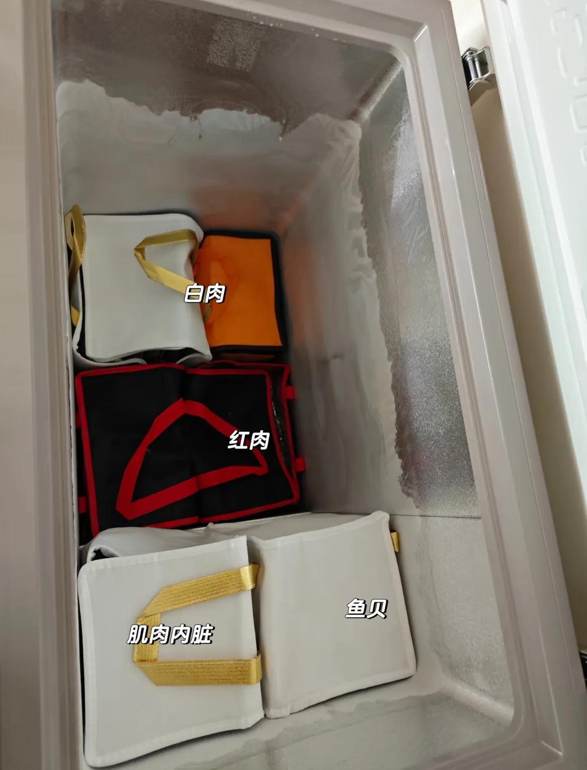 手机职业学院毕业生的生活小妙招：冰柜整理与高效收纳技巧分享插图1