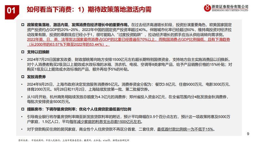 2025年中国提振消费与提高投资效益的策略探讨：专家观点与政策建议插图1