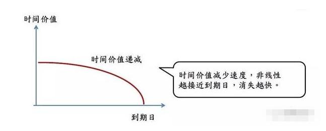 期权的收益