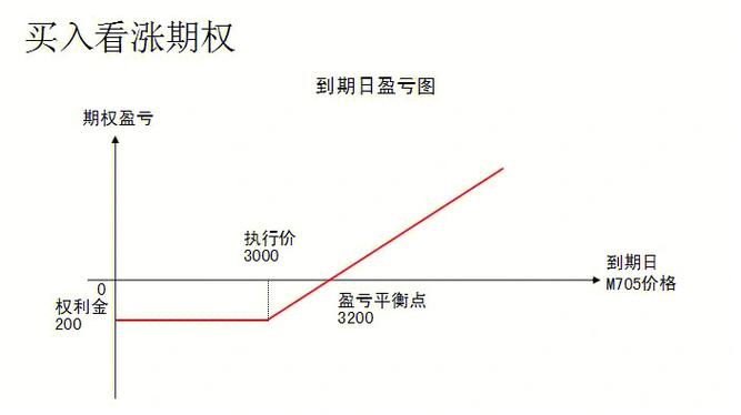 期权的收益