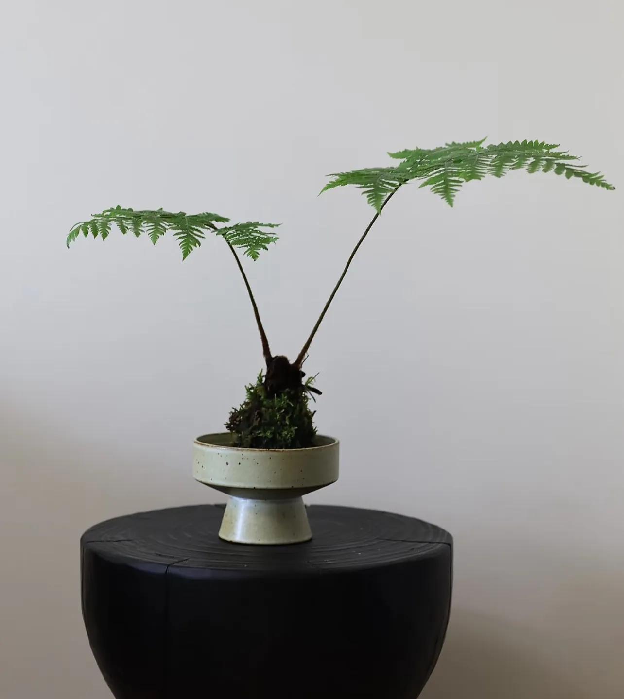 10款实用中古风家居好物推荐，几十元轻松打造老钱风格插图24