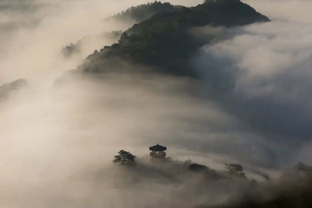 叶檀老师分享生活苦难与重生故事，每周六亲自回复读者心声插图6