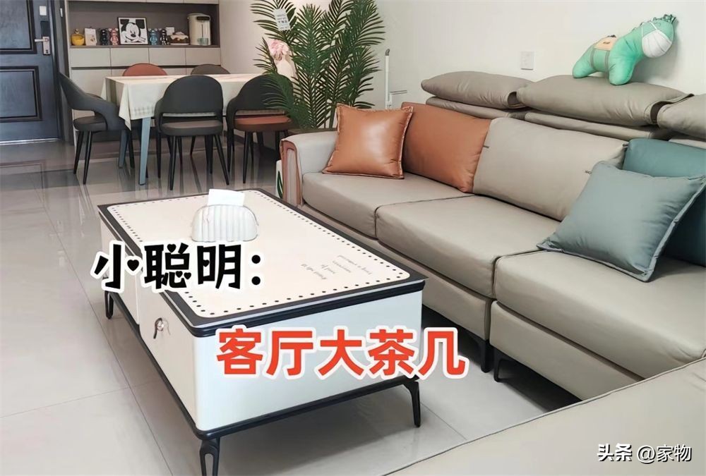客厅装修8大易踩坑点：避免小聪明，提升大智慧生活体验插图6