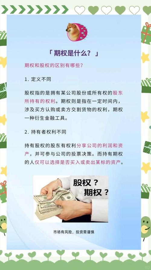 什么是期权股权