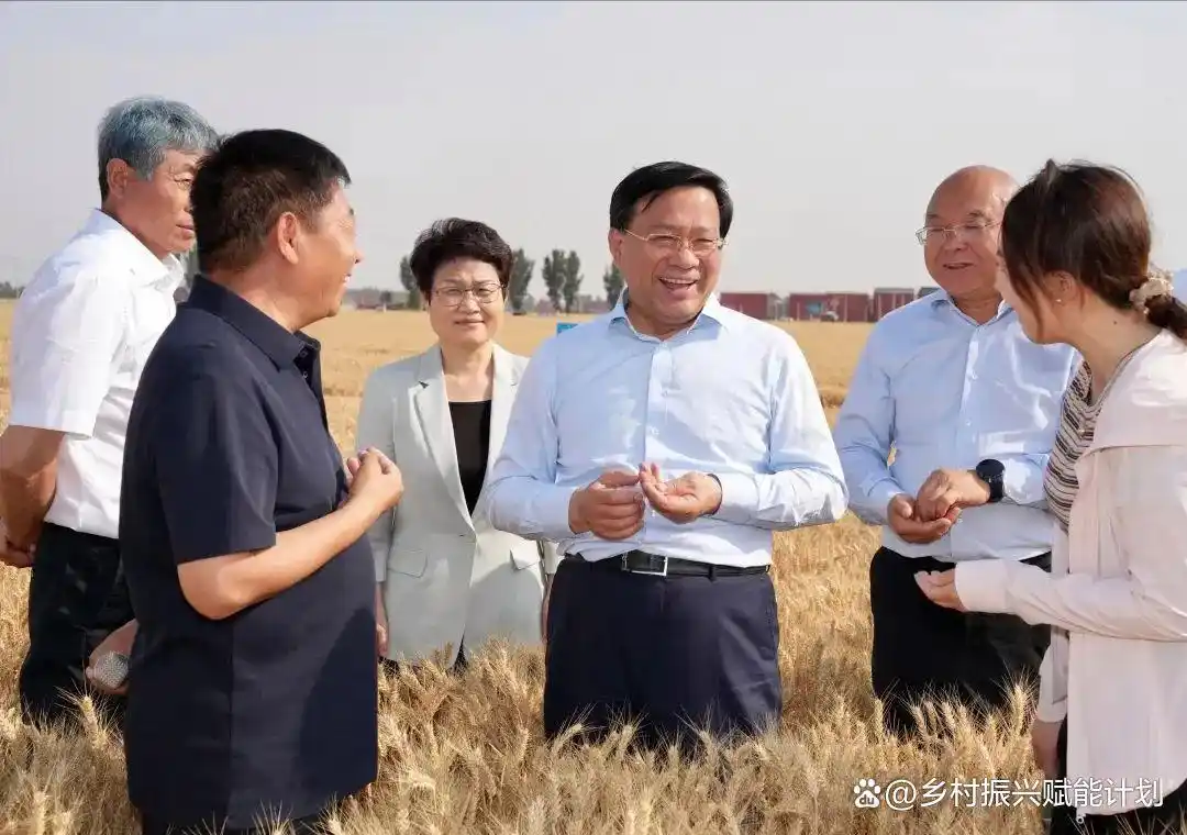 6月9日-10日韩俊河南河北调研粮食生产，夏粮丰收在望插图