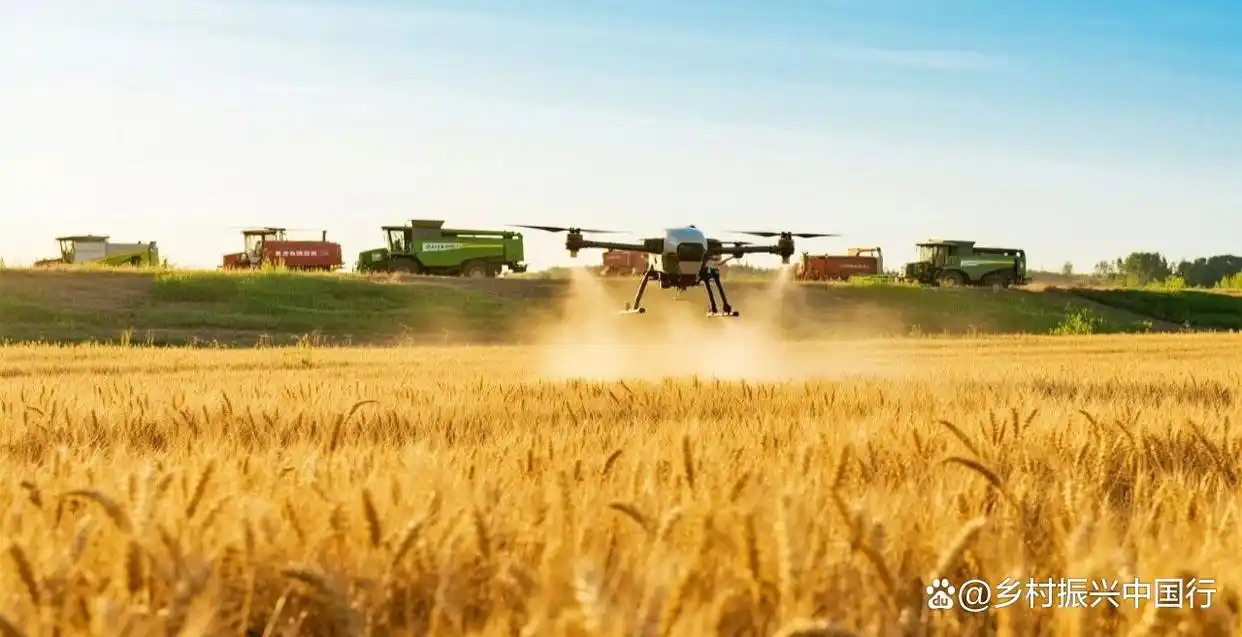 农业社会化服务新篇章：十五五规划助力小农户，现代农服中心建设全面启动插图