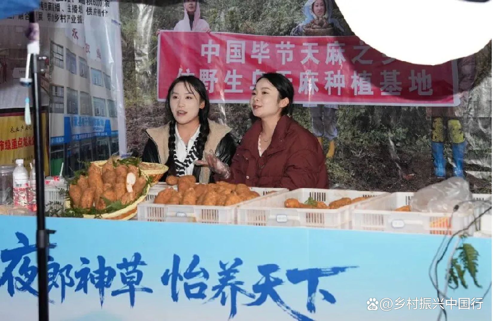 2025毕节天麻博览会启幕：科技赋能产业链，共绘乡村振兴新蓝图插图18