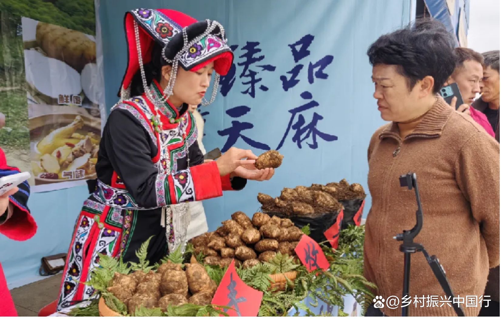 2025毕节天麻博览会启幕：科技赋能产业链，共绘乡村振兴新蓝图插图21