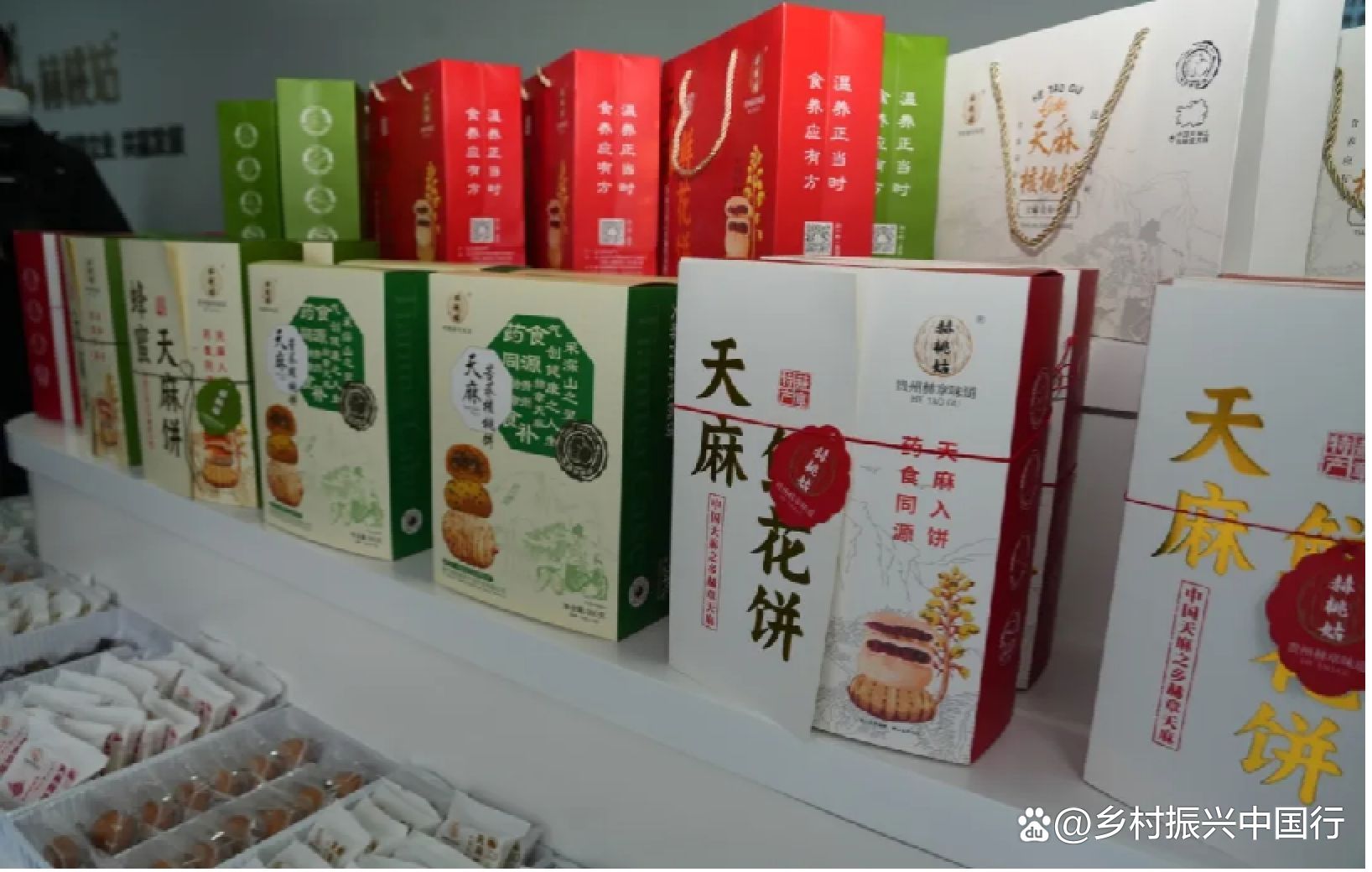 2025毕节天麻博览会启幕：科技赋能产业链，共绘乡村振兴新蓝图插图3