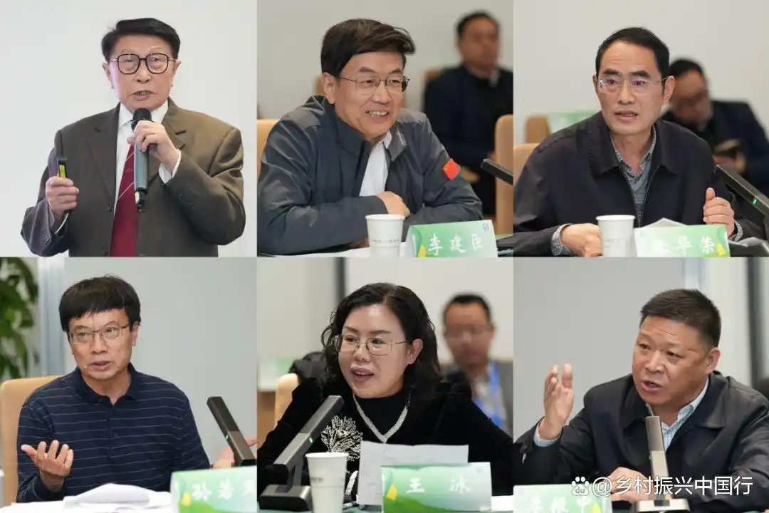 科技传播新生态助力乡村振兴：系统性变革下的实践路径与未来展望插图2