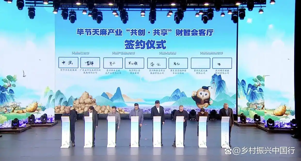 毕节天麻产业启幕财智会客厅：聚焦标准化种植、高附加值产品，共商产业发展新路径插图14