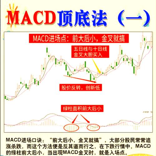 上证50个股期权