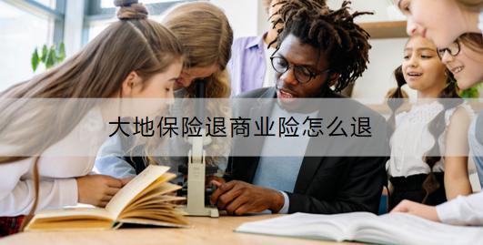 大地保险退商业险怎么退