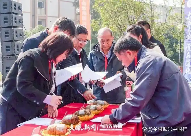 天麻交易中心正式启用，产销两旺展活力；粤黔协作铸平台，产业振兴新篇章插图1