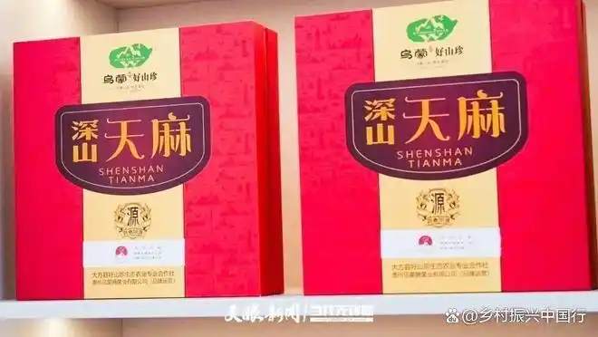 天麻交易中心正式启用，产销两旺展活力；粤黔协作铸平台，产业振兴新篇章插图2