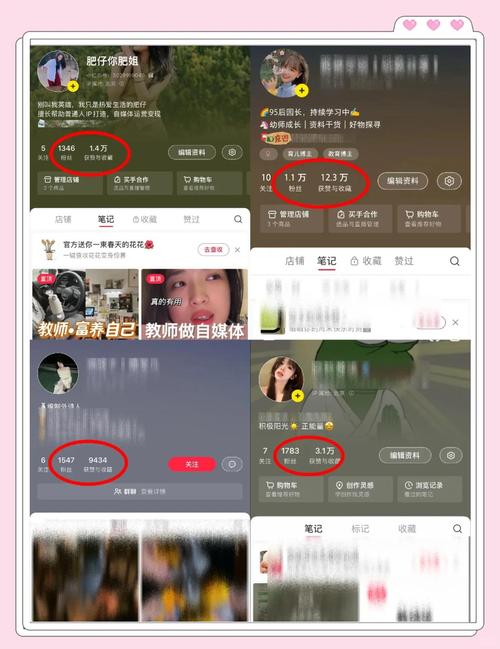 什么软件可以快速有粉丝