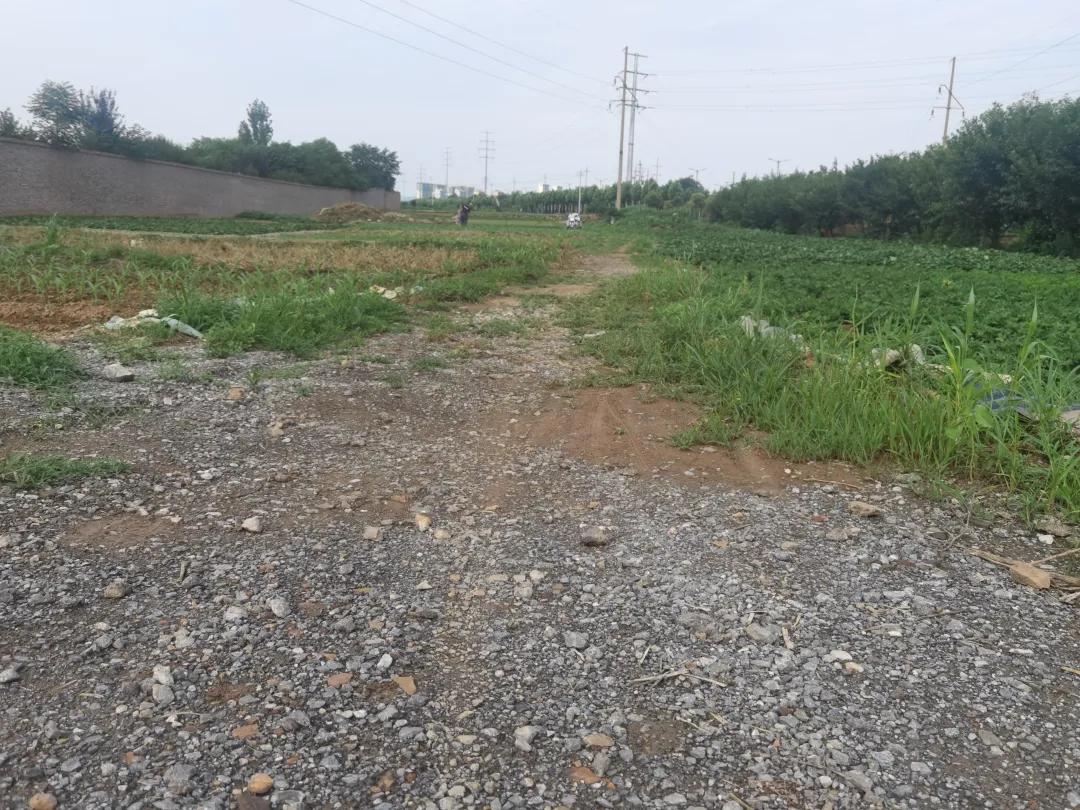 20年前争破头的土地，如今为何大片撂荒？4大原因很现实插图1