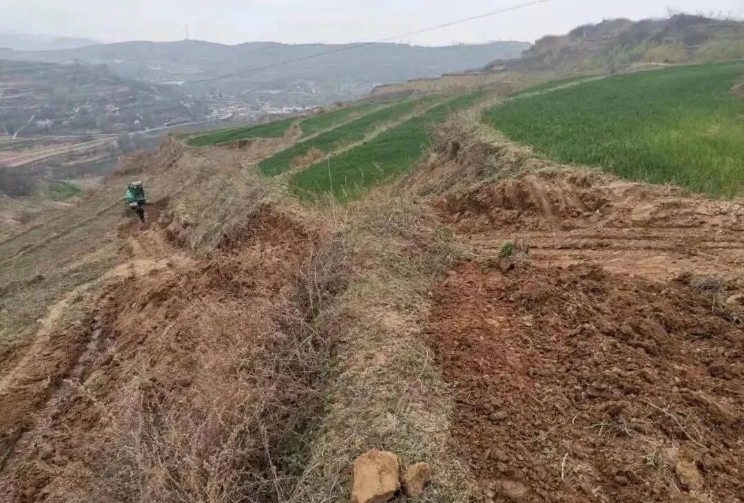 20年前争破头的土地，如今为何大片撂荒？4大原因很现实插图10