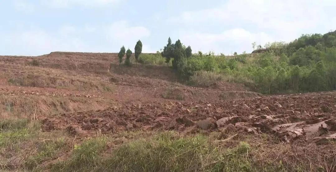 20年前争破头的土地，如今为何大片撂荒？4大原因很现实插图8