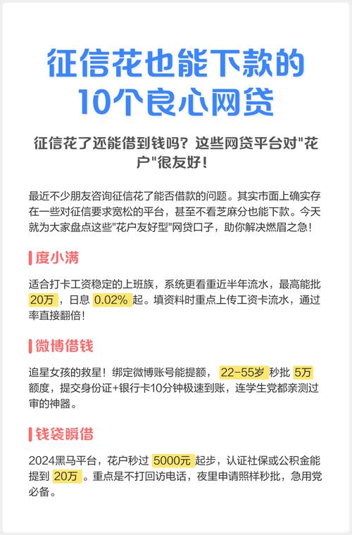 无需征信的贷款平台