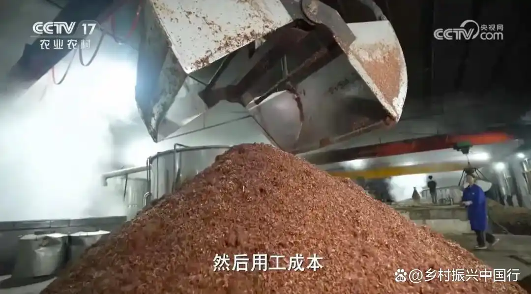 陈洪飞跨界种高粱破难题，带领农户增收，央视共富经报道插图2