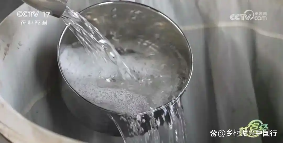 陈洪飞跨界种高粱破难题，带领农户增收，央视共富经报道插图3