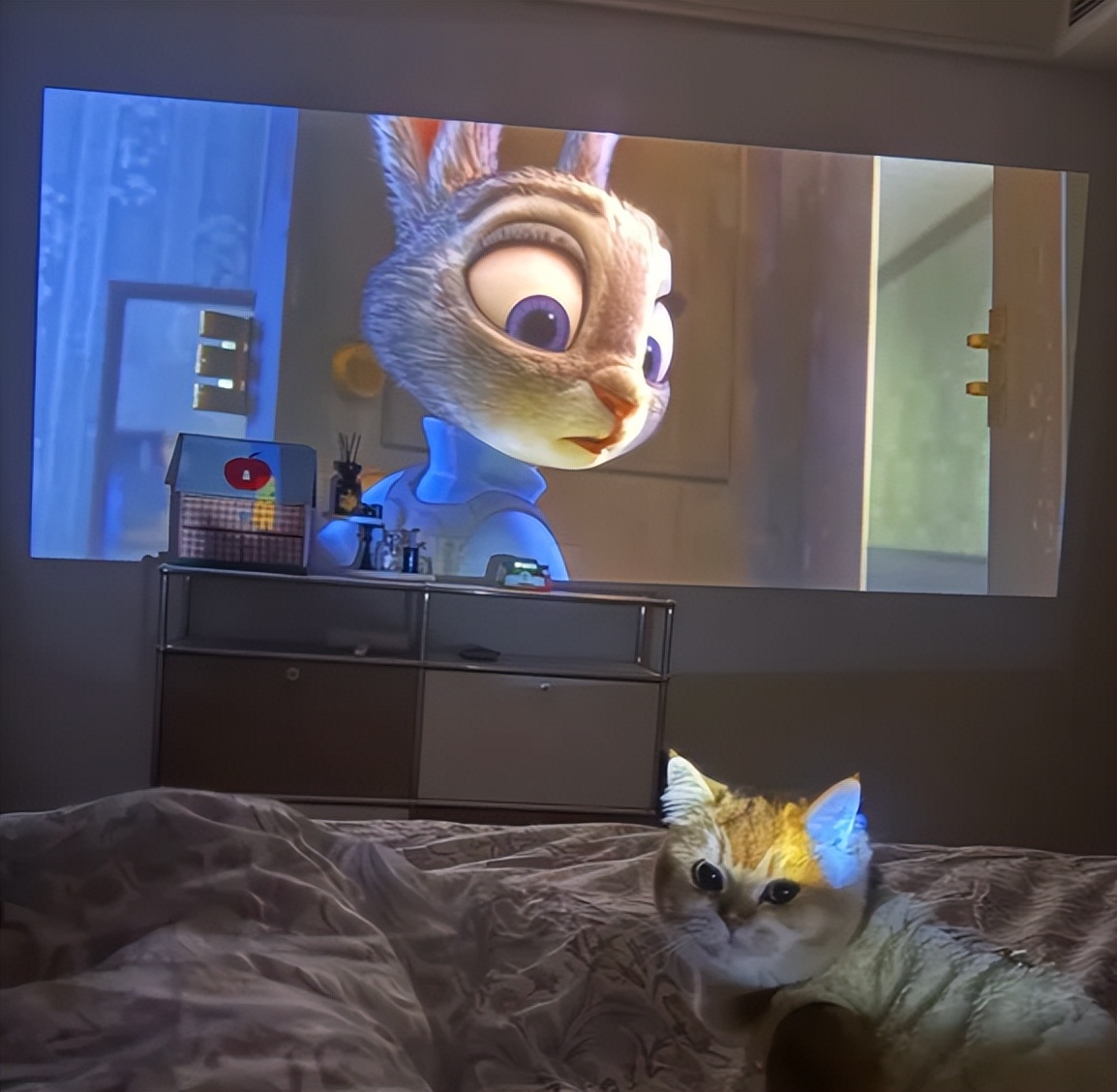 客厅好物推荐！咬咬牙添置这5样，生活品质直接翻倍插图1