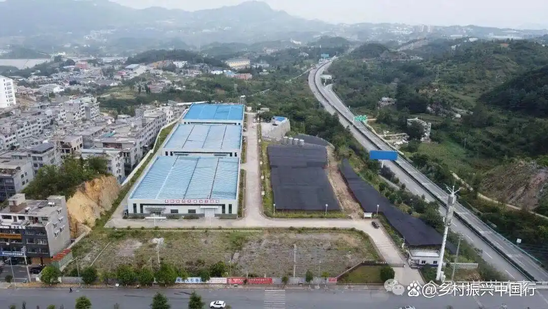 深冬乌蒙山区，大方天麻借东西部协作销往粤港澳大湾区插图1