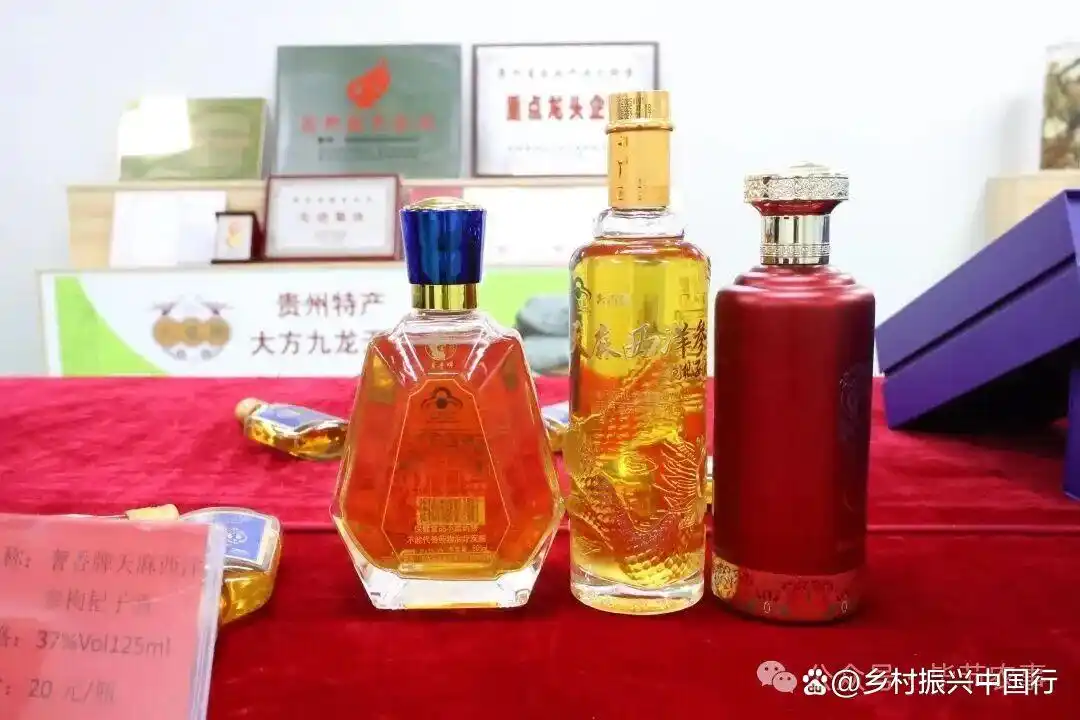 深冬乌蒙山区，大方天麻借东西部协作销往粤港澳大湾区插图2