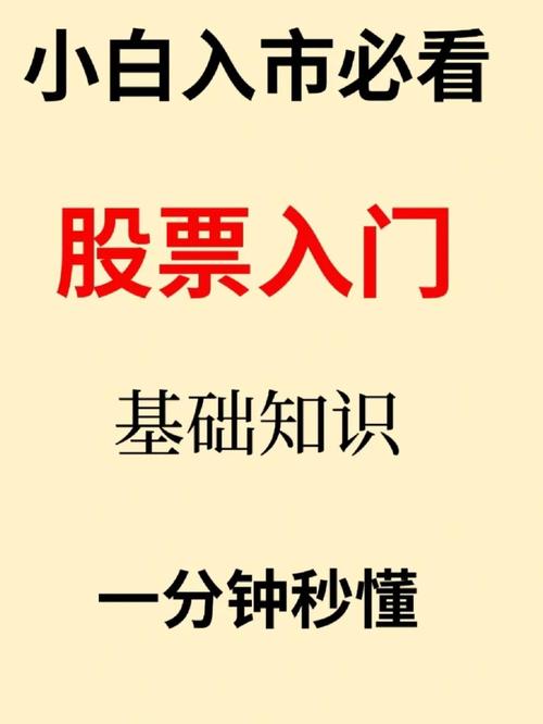 a股是什么意思