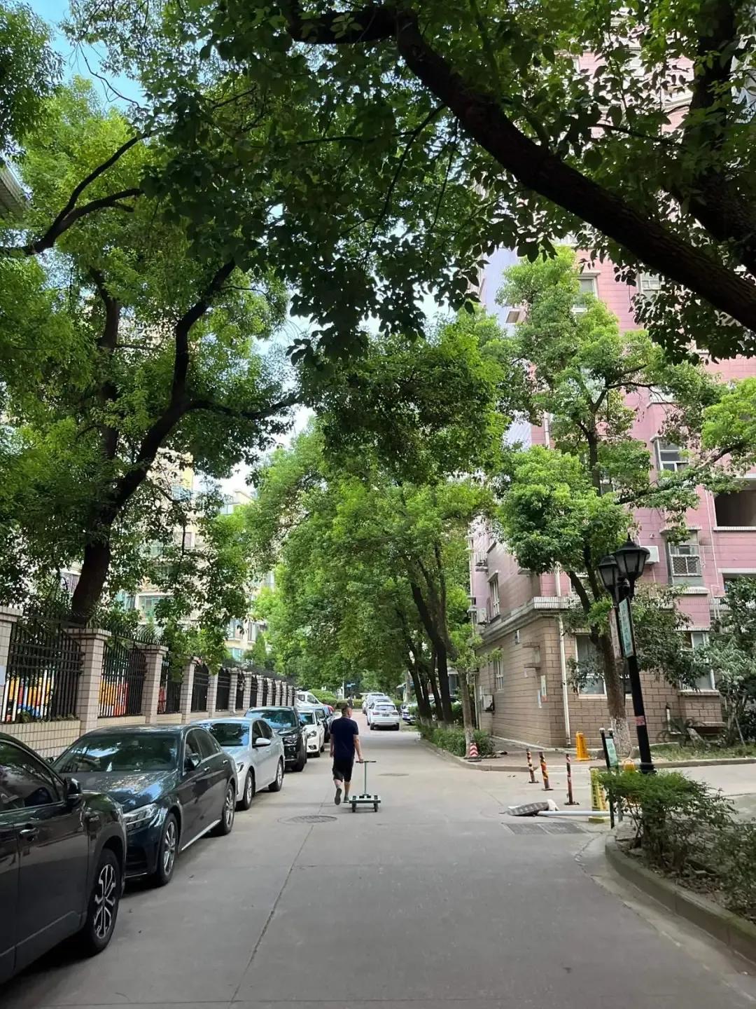 曾经贵得离谱的东西，现在啥样了？固定电话、出租车牌照有话说插图11