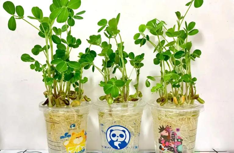 家里物品丢了可惜，这些变废为宝小妙招让收纳力倍增插图5