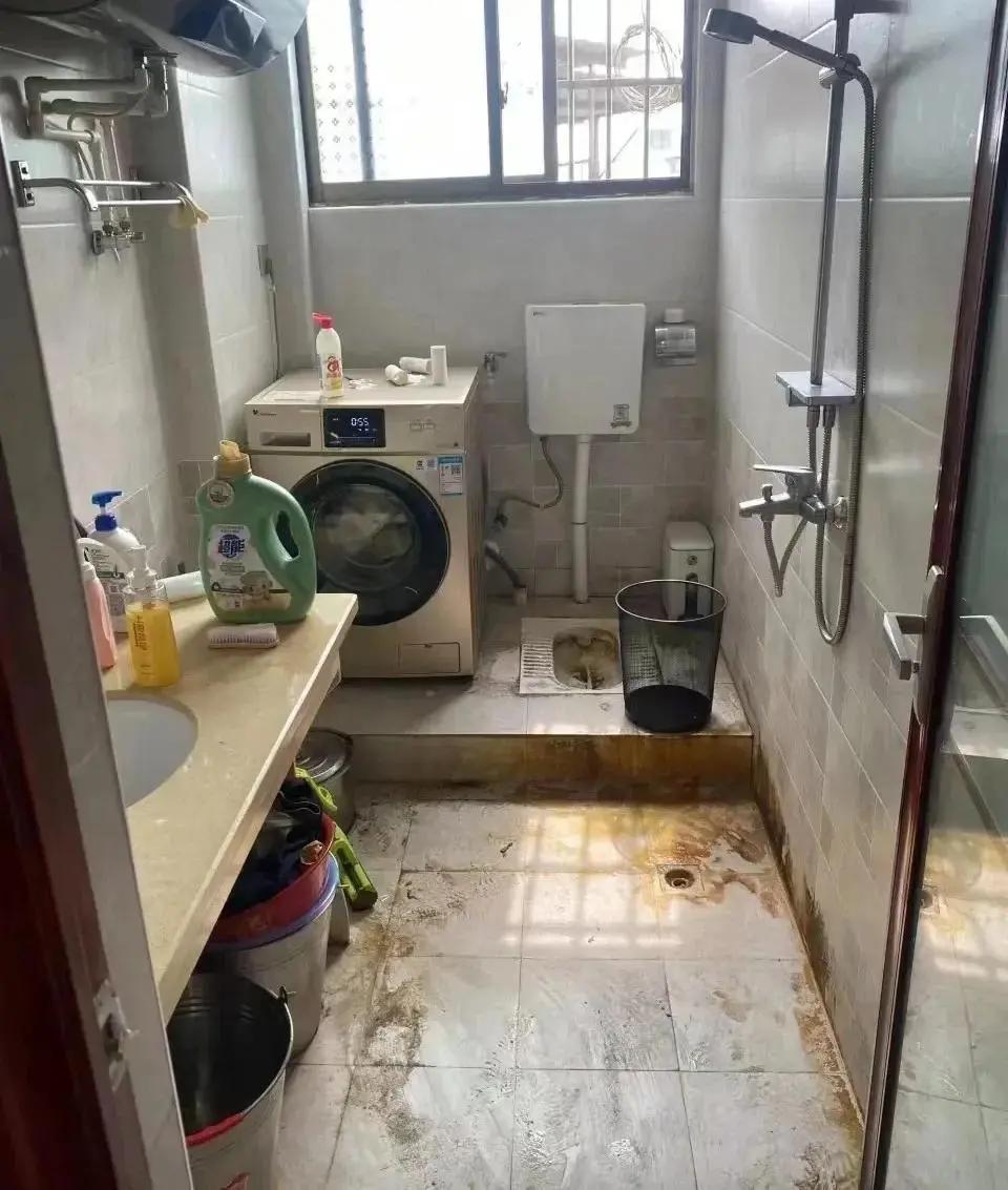 吐槽换房后的烦恼！讲讲那些娇生惯养、离不开手机的女生插图15