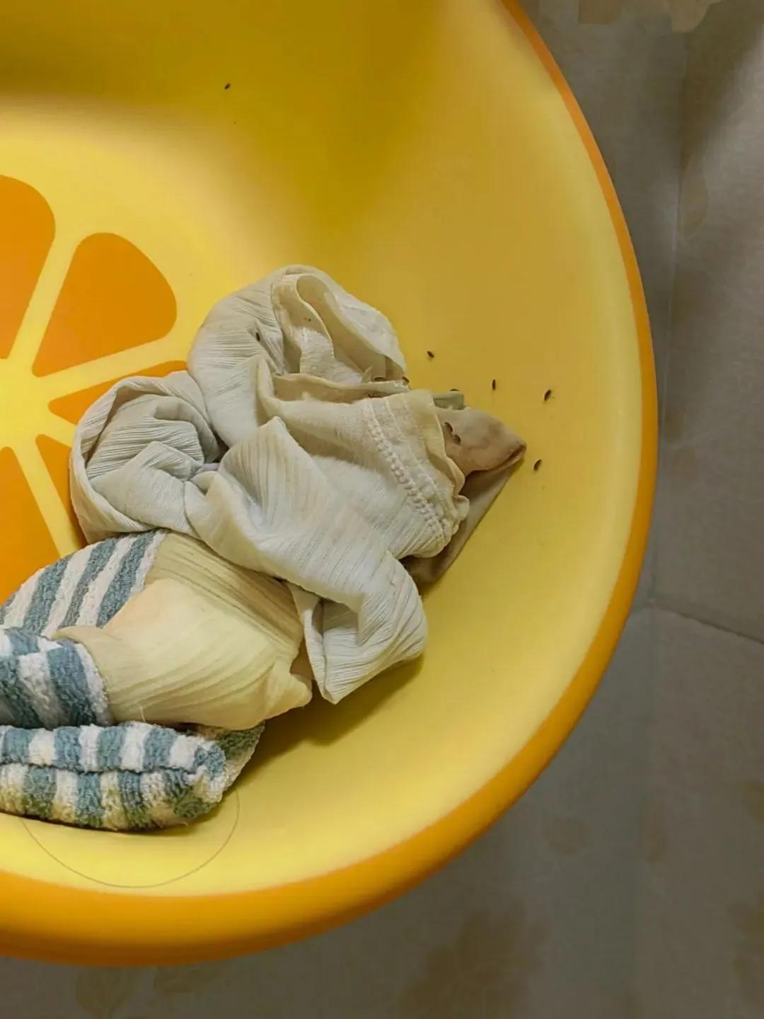 吐槽换房后的烦恼！讲讲那些娇生惯养、离不开手机的女生插图6