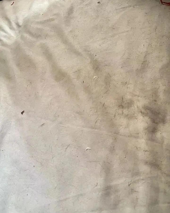 吐槽换房后的烦恼！讲讲那些娇生惯养、离不开手机的女生插图7