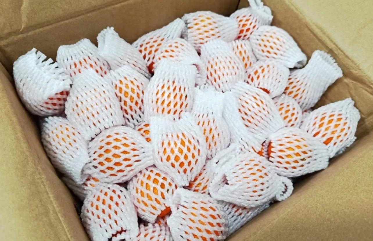 买橙子拆出的泡沫网居然是神器？水培植物超好用插图