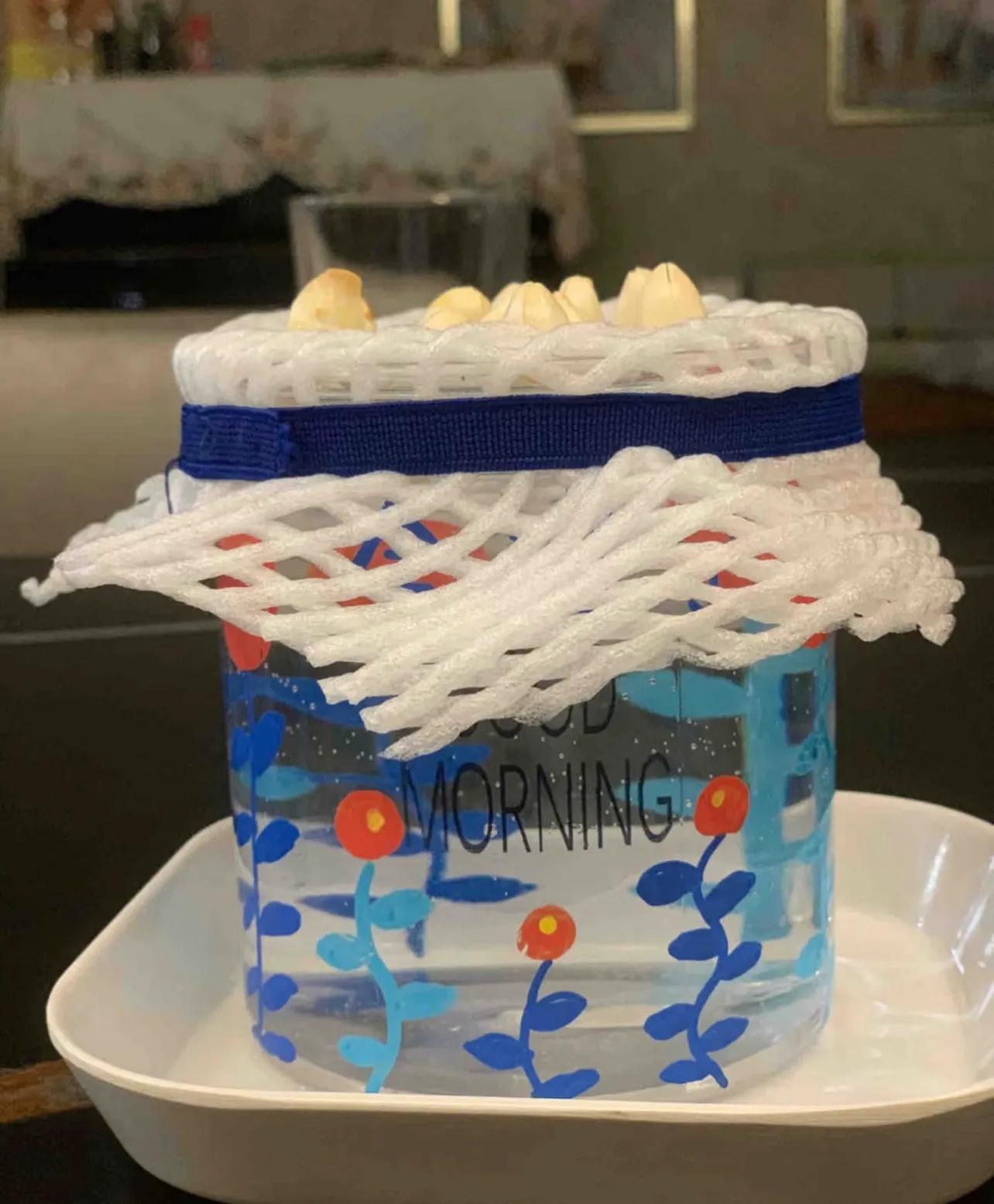 买橙子拆出的泡沫网居然是神器？水培植物超好用插图1