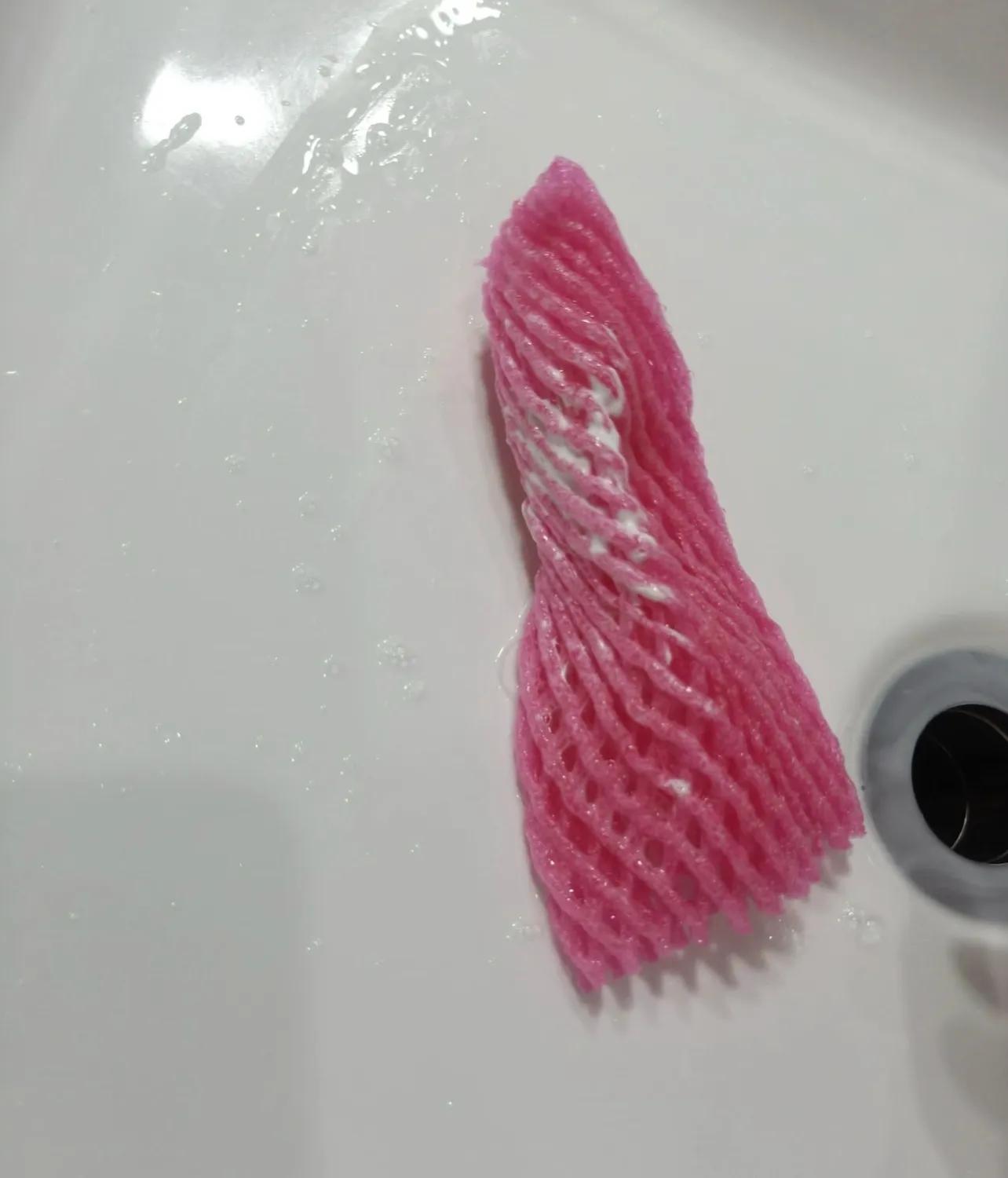 买橙子拆出的泡沫网居然是神器？水培植物超好用插图14