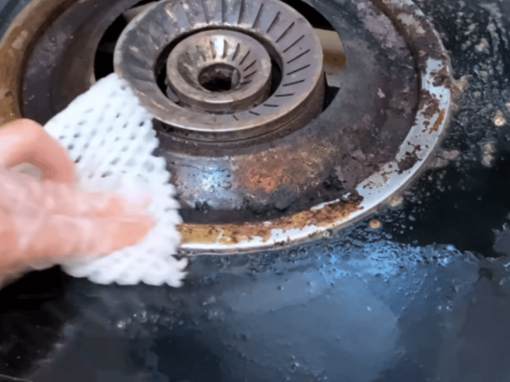 买橙子拆出的泡沫网居然是神器？水培植物超好用插图16