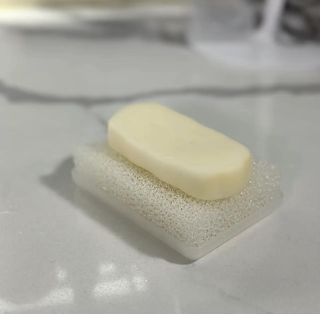 买橙子拆出的泡沫网居然是神器？水培植物超好用插图17