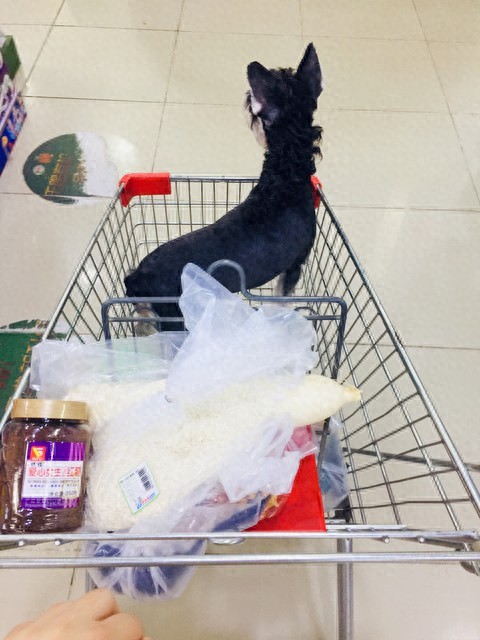 超市5不买，尤其打折熟食！逛超市挑东西防坑指南来了插图