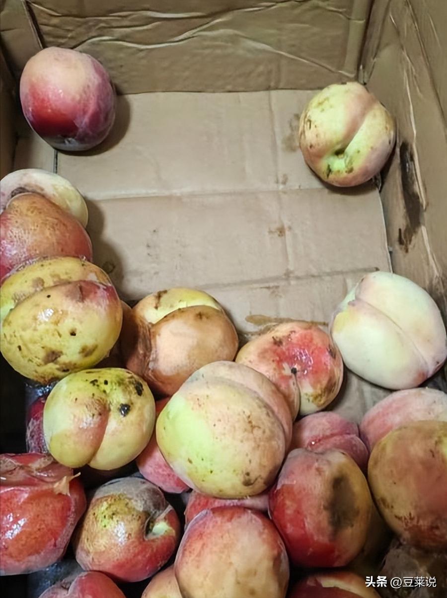 拼多多助力工具最新版